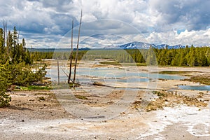 Norris Basin in Yellowstone N.P.