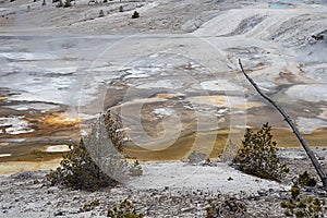 Norris Geyser Basin