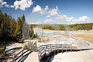 Norris Geyser Basin photo