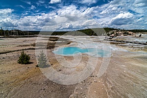 Norris Geyser Basin