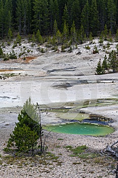 Norris Geyser Basin