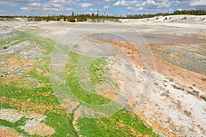 Norris Geyser Basin