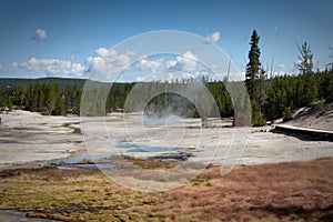 Norris Geyser basin