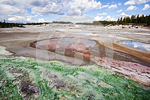 Norris Geyser Basin with green mineral stream in Yellowstone