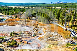 Norris Geyser Basin Landscape