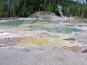 Norris Geyser Basin located in Yellowstone National Park