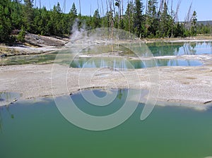 Norris Geyser Basin - Porcelain Basin Crackling Lake