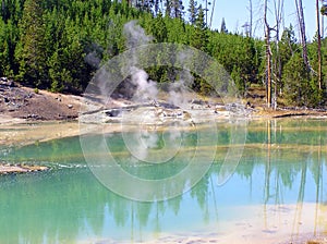 Norris Geyser Basin - Porcelain Basin (Crackling Lake)