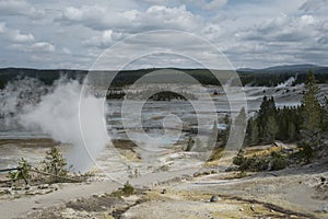 Norris Geyser Basin porcelain landscape in Yellowstone