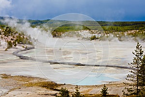 The Norris Geyser Basin of Yellowstone