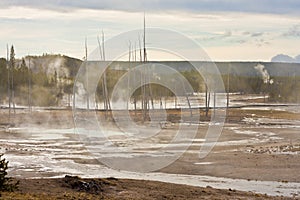 The Norris Geyser Basin of Yellowstone