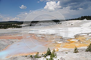 Norris Geyser Basin, Yellowstone