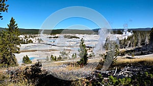 Norris Geyser Basin, Yellowstone National Park