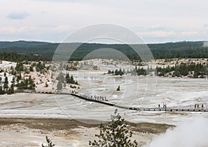 Norris geyser basin, Yellowstone National Park