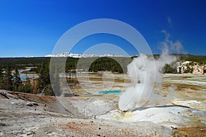 Norris Geyser Basin, Yellowstone National Park, Geothermal Landscape at Black Growler Vent, Wyoming, USA