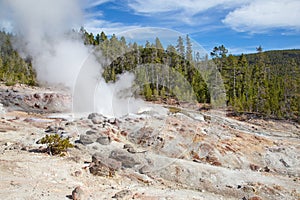Norris geyser basin, Yellowstone National park, USA