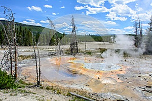 Norris Geyser Basin, Yellowstone National Park, Wyoming, USA