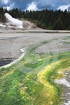 Norris Geyser Basin Yellowstone NP