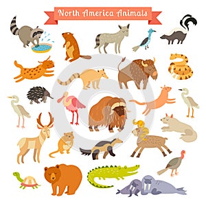 North America animals vector illustration. Big vector set. on white background