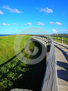 North America, Canada, New Brunswick, Bouctouche Dunes Boardwalk