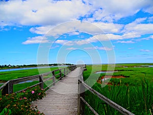 North America, Canada, New Brunswick, Bouctouche Dunes Boardwalk