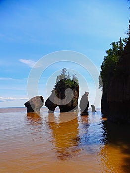 North America, Canada, Province of New Brunswick, Hopewell Rock Park, Fundy Biosphere Reserve