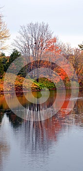 North america fall landscape eastern townships