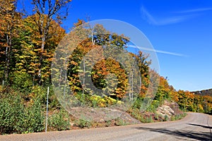 North america fall landscape eastern townships