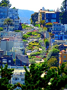 North America, USA, California, San Francisco, Lombard Street