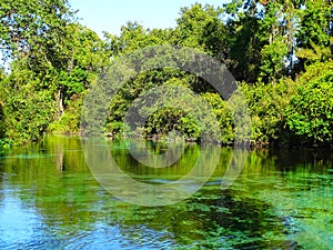 North America, USA, Florida, Hernando County, Weeki Watchee river