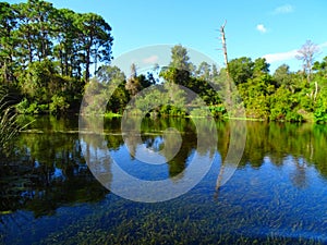 North America, USA, Florida, Hernando County, Weeki Watchee river