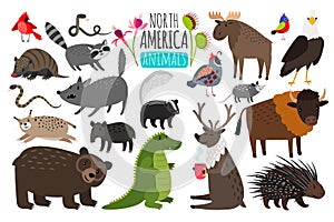 North american animals. Animal graphics of North America, american bison and skunk, cute moose and lynx