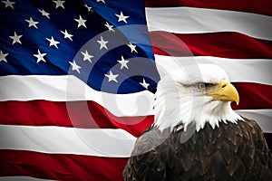 North American Bald Eagle on American flag