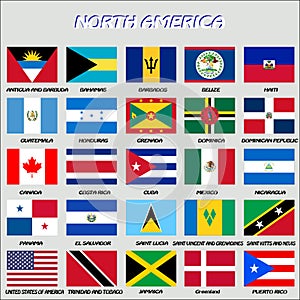 North American Flags, vector