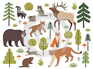 North American forest animals and plants