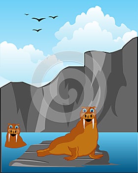 North animals walruses on stone seaborne landscape