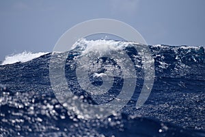 North Atlantic. Fresh wind.