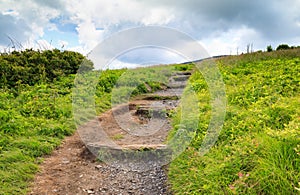 North Carolina Appalachian Trail Roan Mountain