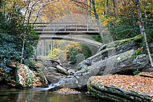 North Carolina Boone Fork Creek Autumn photo