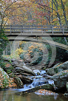 North Carolina Boone Fork Creek Autumn Vertical
