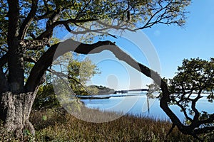 North Carolina Coastal land peaceful scene