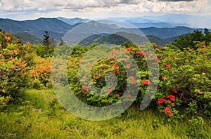 North Carolina Mountain Background