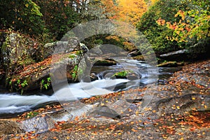 North Carolina Mountain Stream Autumn