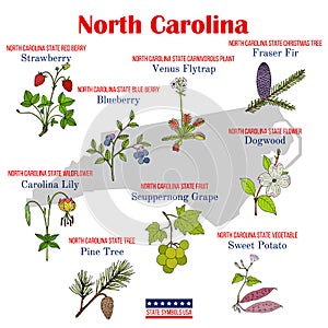 North Carolina. Set of USA official state symbols