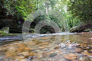 North Carolina Wilderness River Rapids in Summer