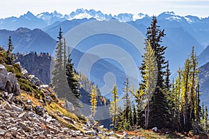 North Cascades National Park