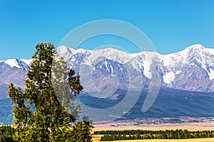 The North-Chuisky ridge. Kurai, Altai