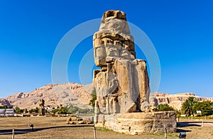 The North Colossus of Memnon near Luxor