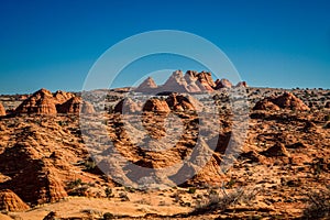 North Coyote Buttes Arizona