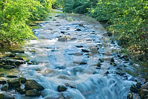 North Creek, Jefferson National Forest, USA.